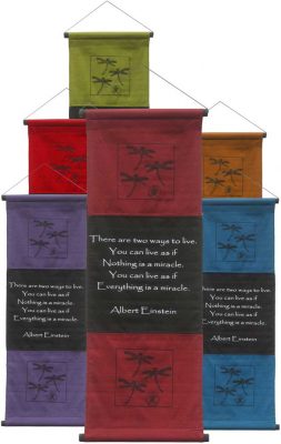 Miracle Einstein Inspirational Banner