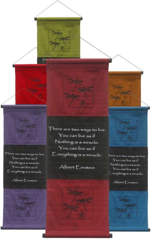 Miracle Einstein Inspirational Banner