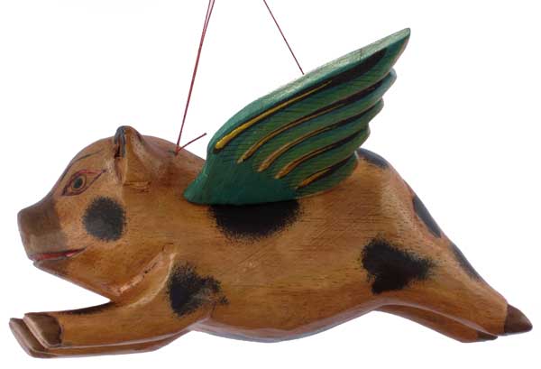 Flying Pig