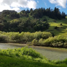 Worldly Goods Duncans Mills California